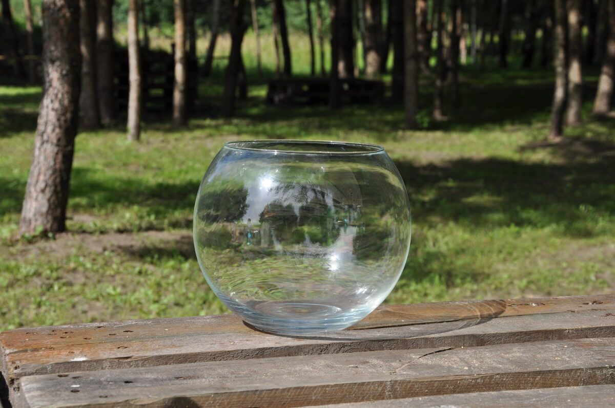 Stikla vāze akvārijs 20cm