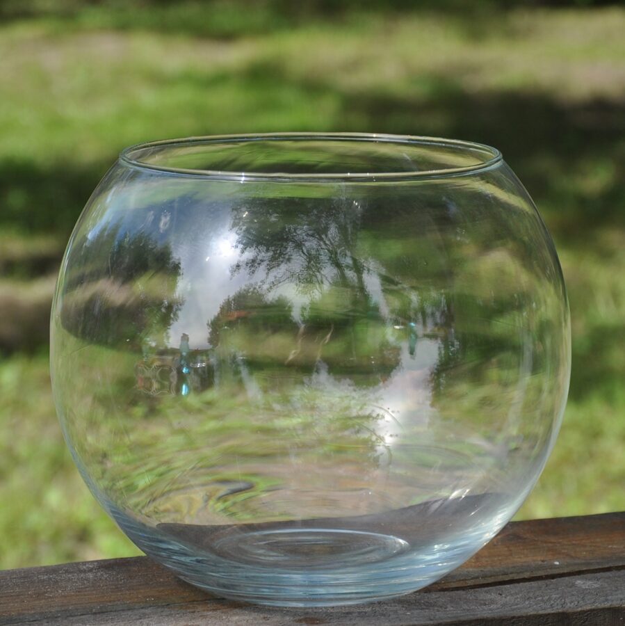 Stikla vāze akvārijs 20cm